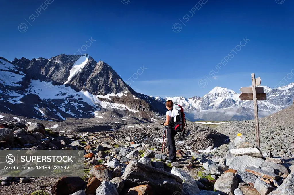 Hiker climbing to the top of Tschenglser Hochwand above Duesseldorfhuette mountain lodge in Sulden, Vertainspitze mountain, Koenigsspitze mountain and...