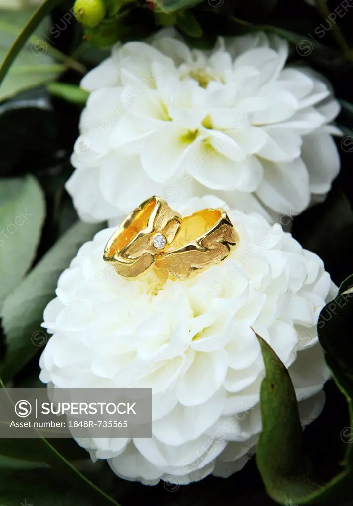 Golden wedding rings on flowers