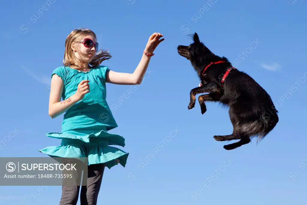 Girl making a dog jump