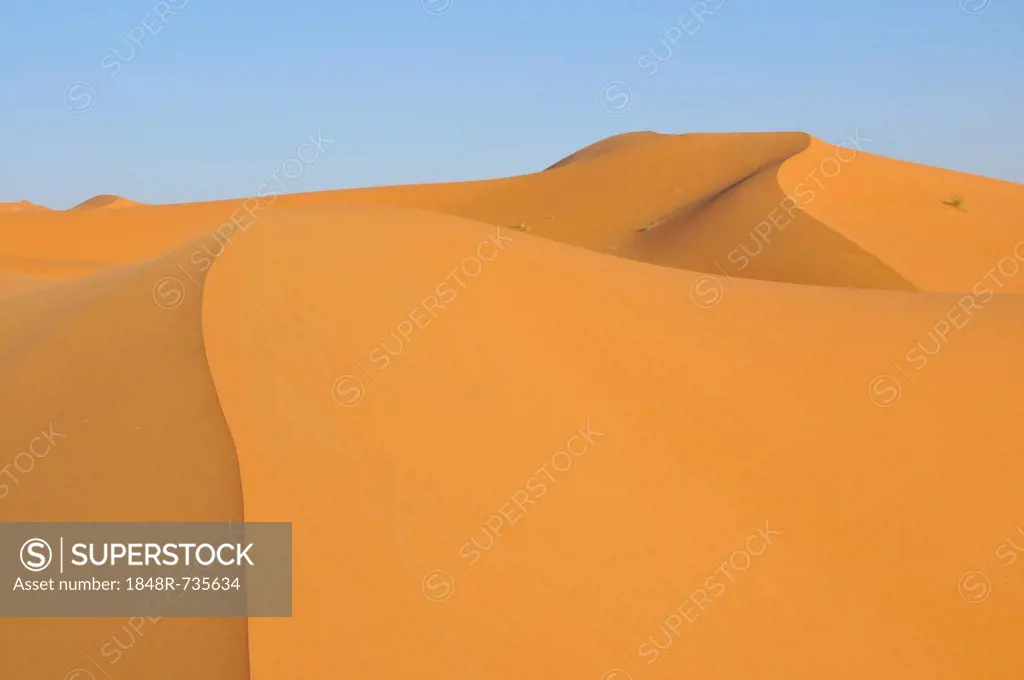 Desert, sand dune of Erg Chebbi, Morocco, Africa