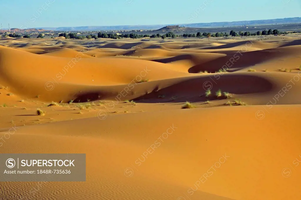 Desert, sand dune of Erg Chebbi, Morocco, Africa