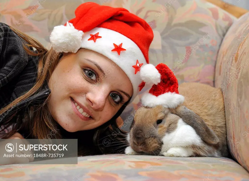 Girl and a European Dwarf Rabbit (Oryctolagus cuniculus) wearing Santa hats
