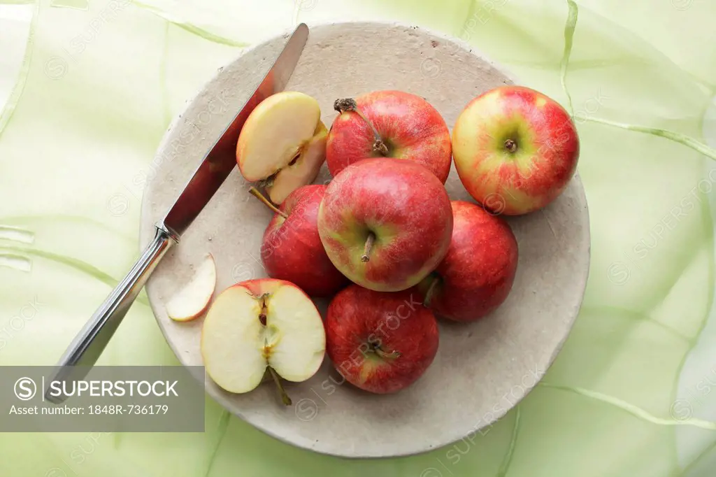 Apples in bowl with knife