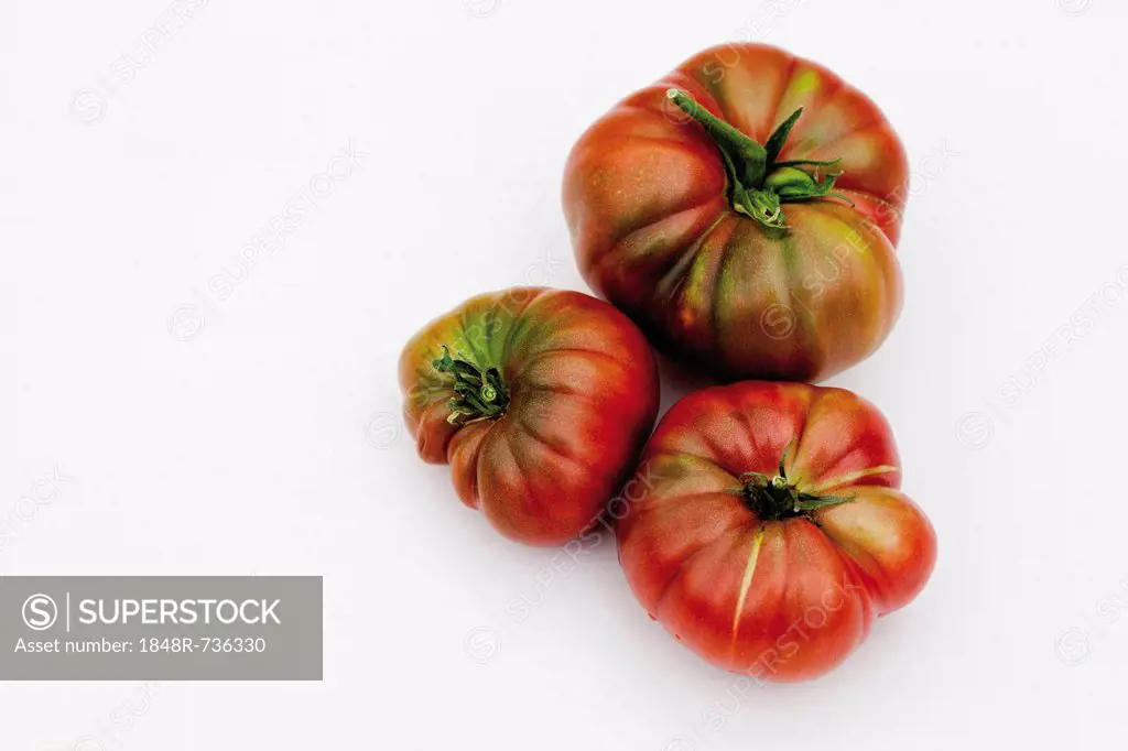 Black-brown beef tomatoes, historic variety from Russia (Noire de Crimee)