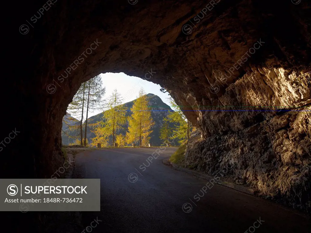 Rock tunnel with view of autumnal larch trees, Mangart Pass, highest road in Slovenia, Triglav National Park, Slovenia, Europe