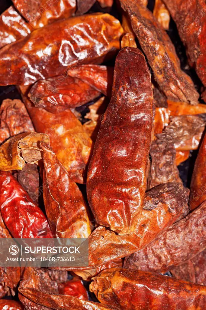 Large chili peppers (Capsicum), hot dried chilis, from Indonesia