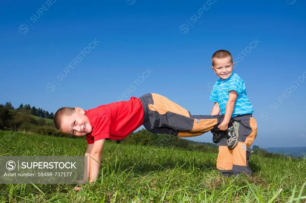Boys, 6 and 4 years, playing in a meadow