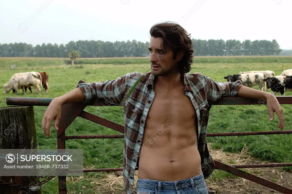 Bare-chested cowboy leaning on a cow gate