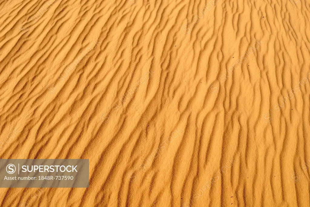 Sand ripples, surface of a dune, Tassili du Hoggar, Wilaya Tamanrasset, Algeria, Sahara, North Africa