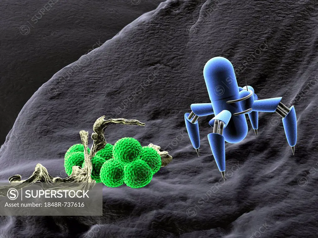 Nano robots and bacteria, concept nanotechnology in medicine, 3D illustration