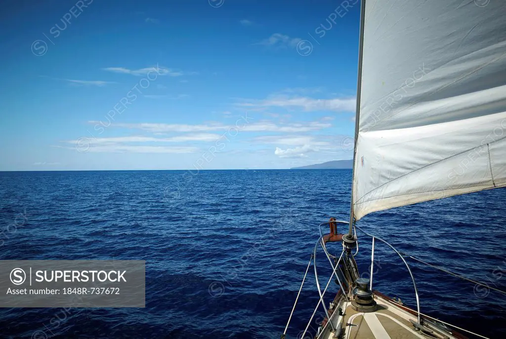 Sail, sailboat, Maui, Hawaii, USA