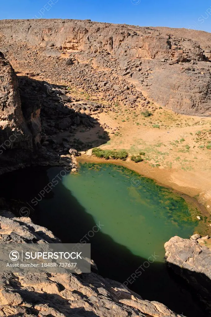 Guelta, waterhole at Dider Valley, Tassili n'Ajjer National Park, Unesco World Heritage Site, Wilaya Illizi, Algeria, Sahara, North Africa