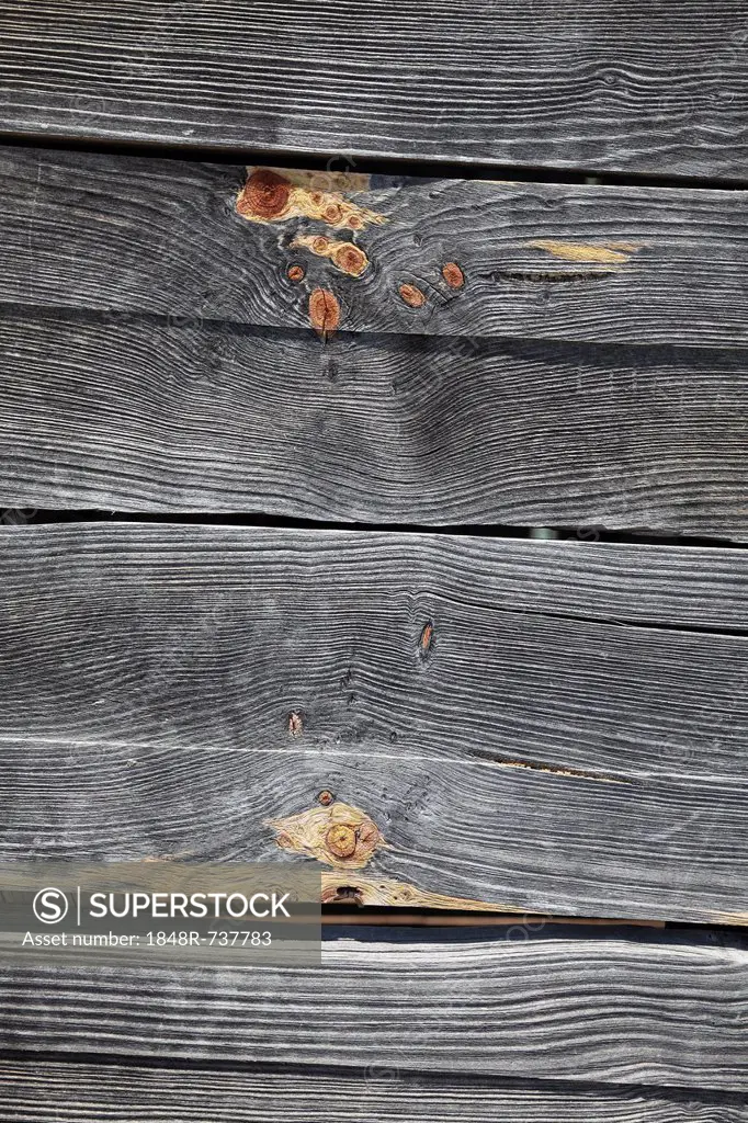 Wooden wall, wood planks, background