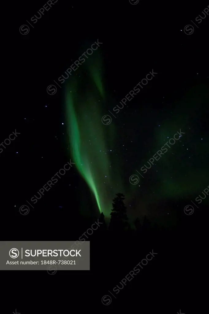 Swirling northern polar lights (Aurora borealis), green, near Whitehorse, Yukon Territory, Canada