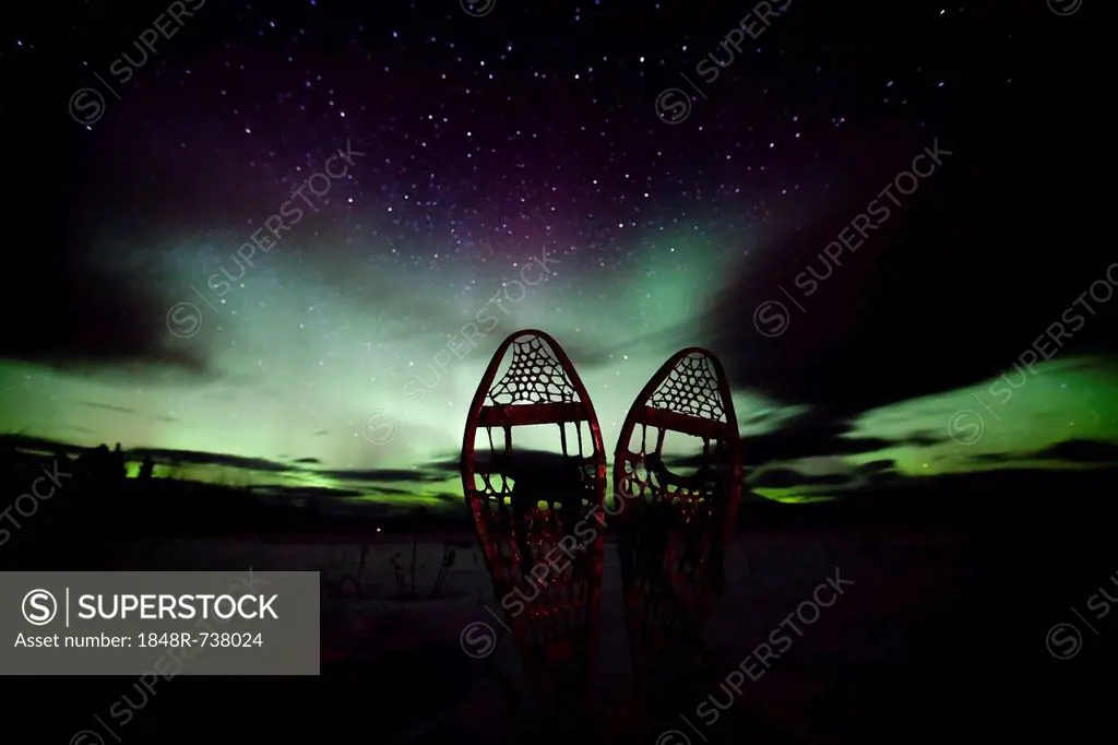 Silhouette of traditional wooden snow shoes, northern polar lights (Aurora borealis), curtains, green purple, near Whitehorse, Yukon Territory, Canada