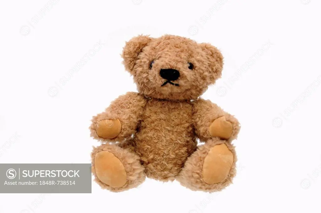 Teddy bear