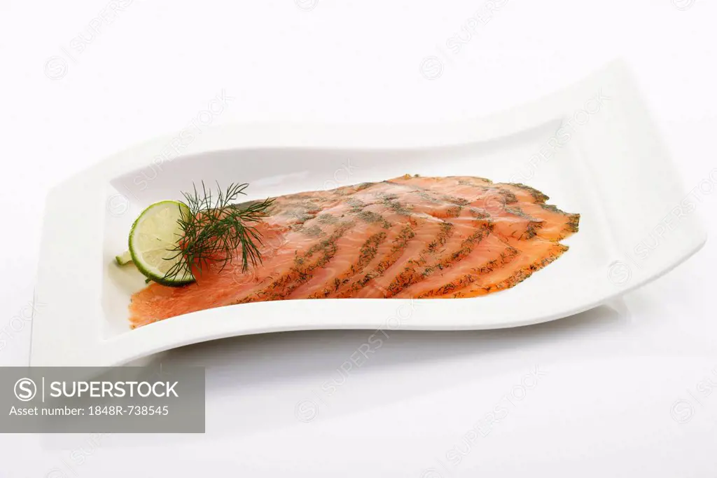 Gravlax, salmon, smoked slices with dill on white porcelain plate