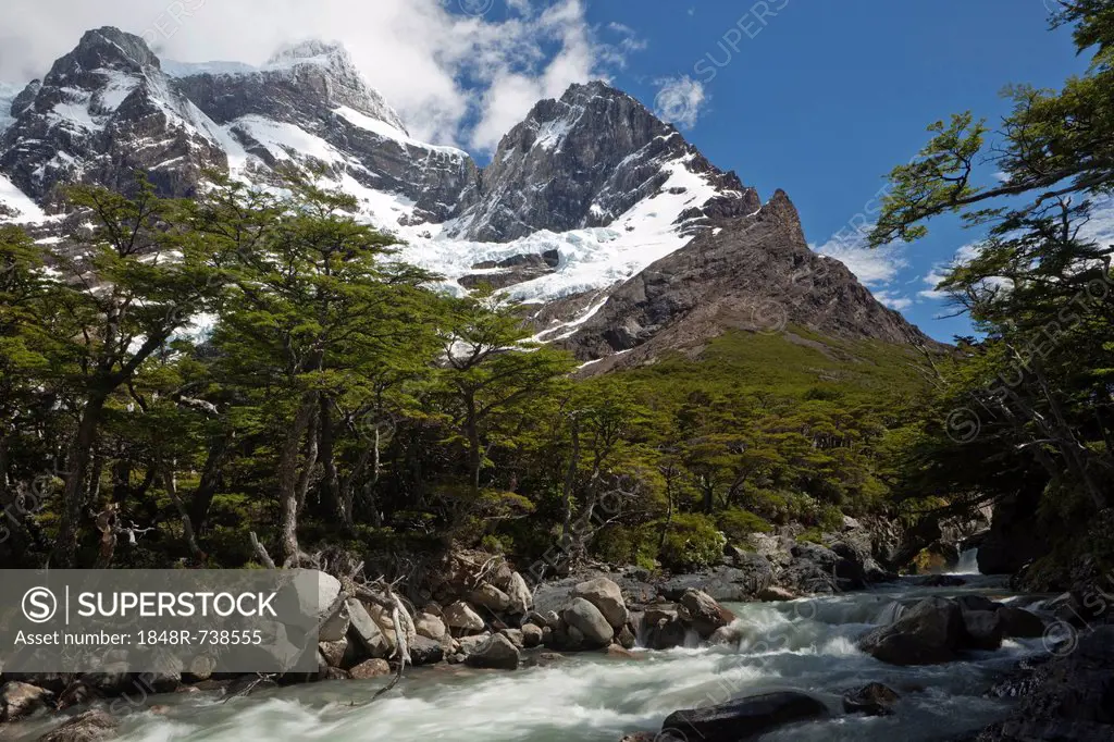Glacial river in the French Valley, view of the snow-capped Cordilera Paine Grande mountain, Torres del Paine National Park, Magallanes Antarctica reg...