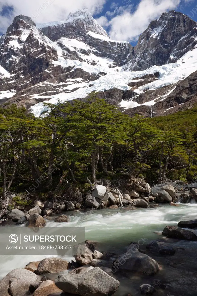 Glacial river in the French Valley, view of the snow-capped Cordilera Paine Grande mountain, Torres del Paine National Park, Magallanes Antarctica reg...