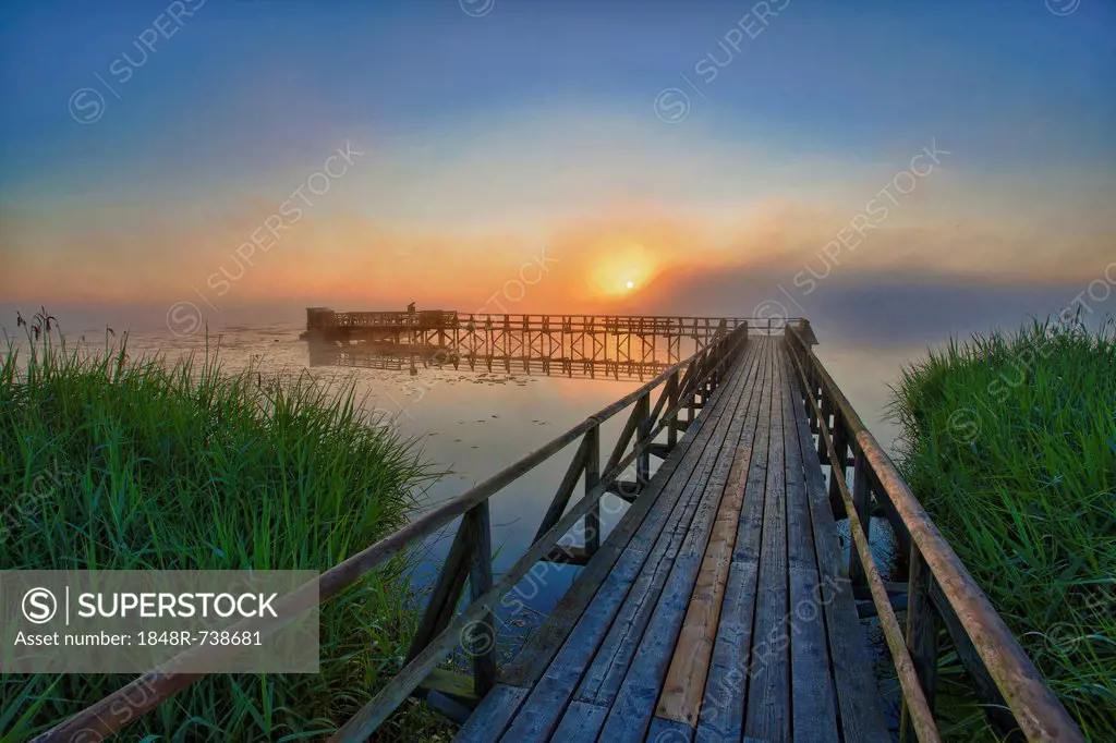 Lake Federsee with a pier at sunrise, Lake Federsee district, Bad Buchau, Baden-Wuerttemberg, Germany, Europe