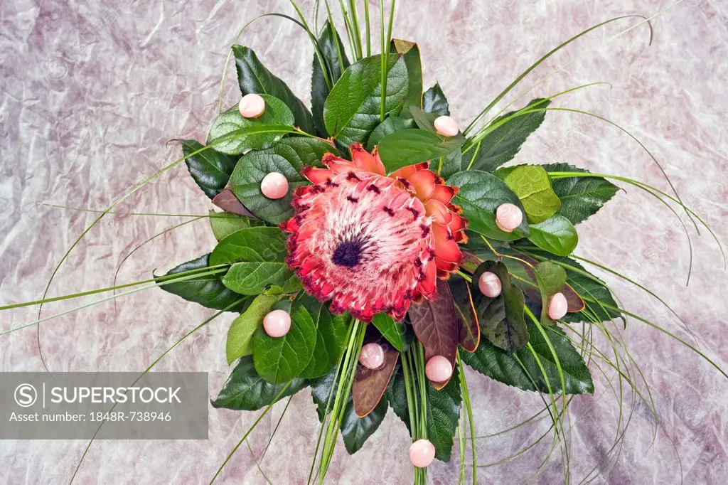 Flower arrangement with protea