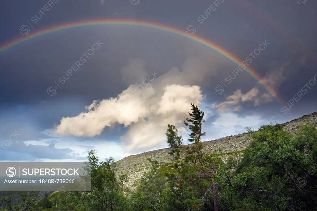 Rainbow, Fulufjaellet National Park, Dalarna county, Sweden, Scandinavia, Europe