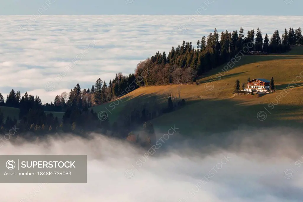 View from Mt Hirschberg with alpine hut and chapel near Mt Pfaender in autumn during high fog, Austria, Europe, PublicGround