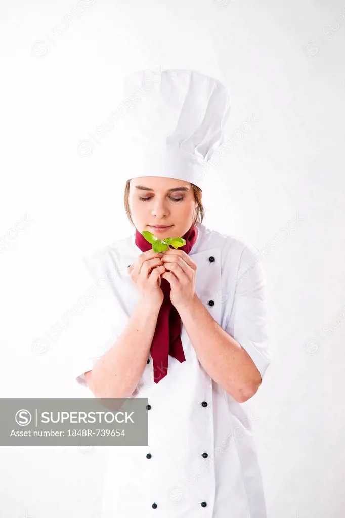 Young chef smelling basil leaves