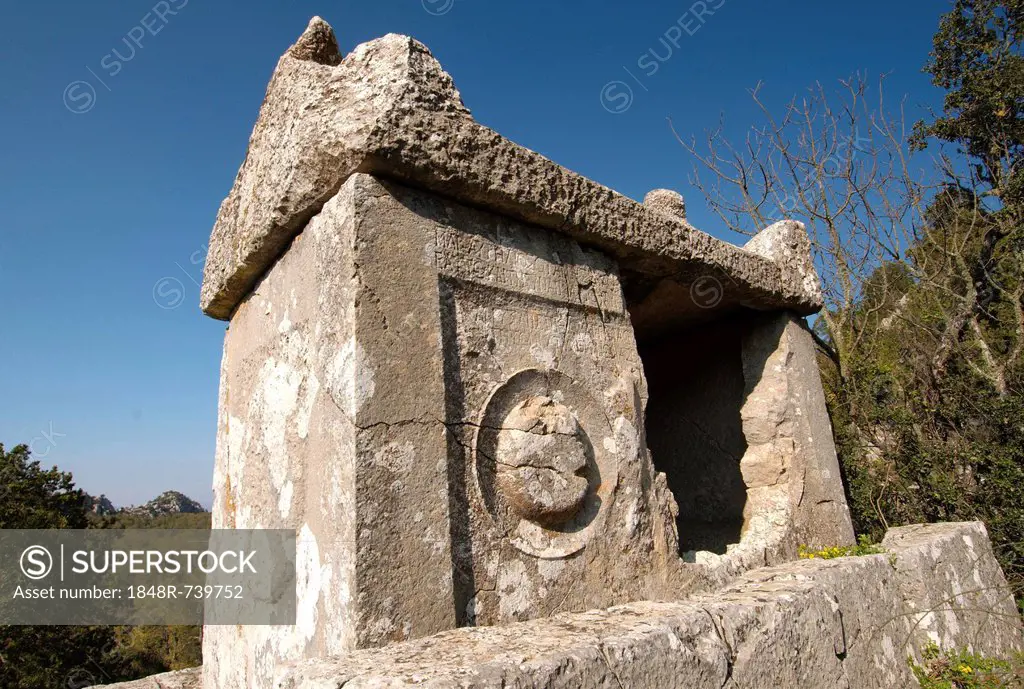 Lycian rock-cut, antique city of Termessos, Turkey, Western Asia