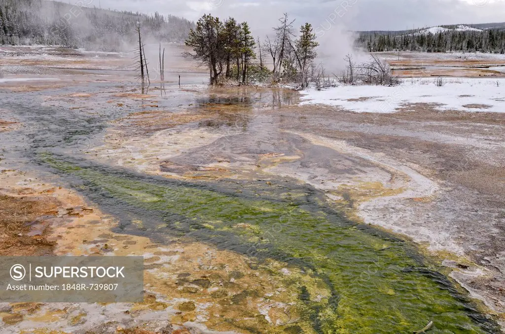 Biscuit Basin, Yellowstone National Park, Wyoming, USA