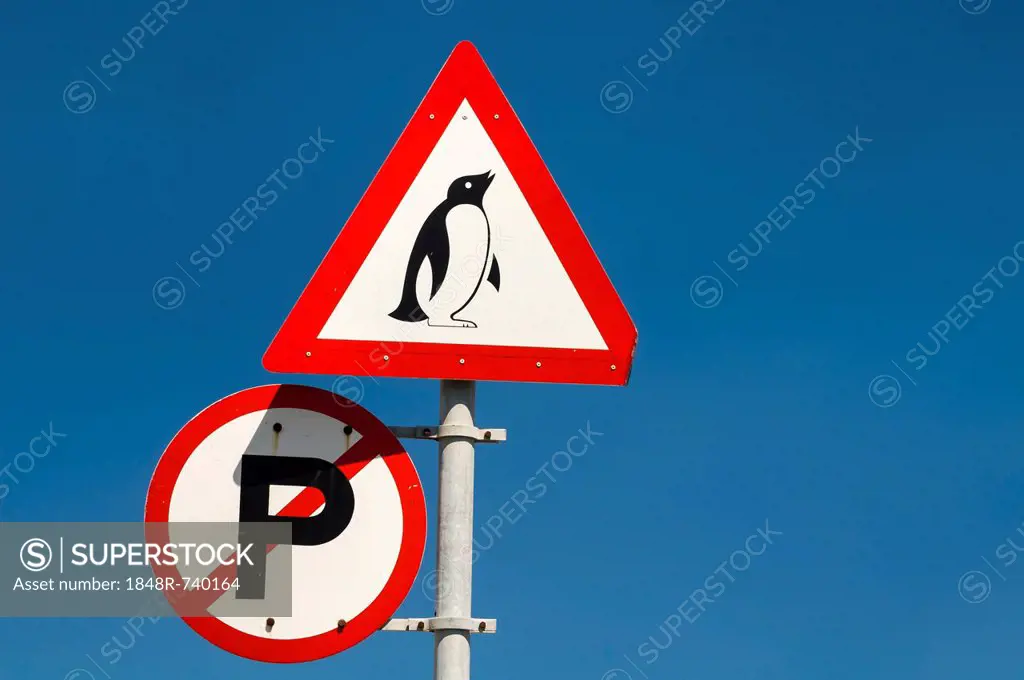 Warning sign, penguins, Cape Agulhas, Western Cape, South Africa, Africa