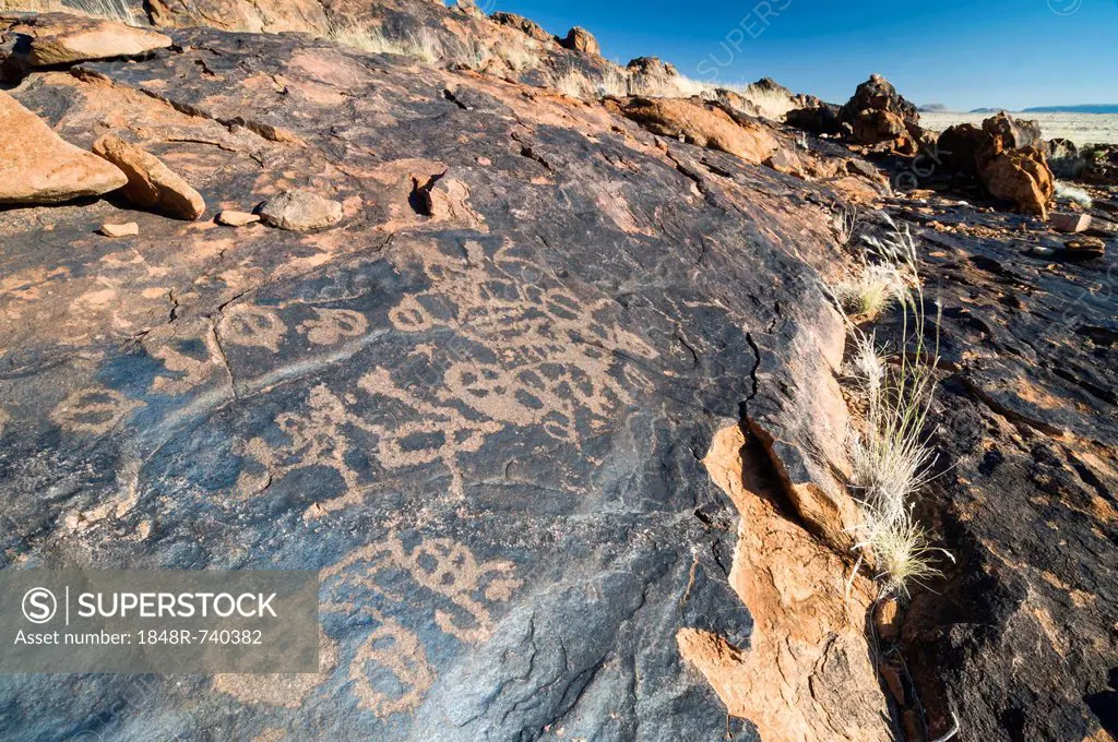 Petroglyphs, rock engravings of the Bushmen or San, near Kenhardt, Northern Cape, South Africa, Africa