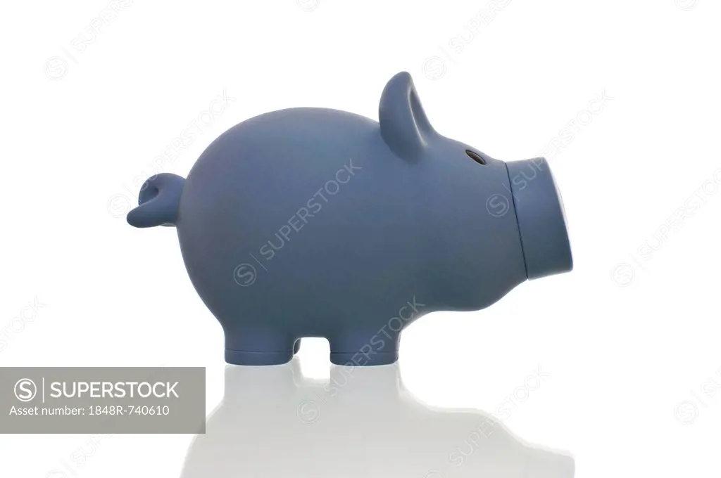 Blue piggy bank