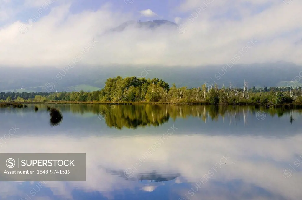 Early morning with fog on moorland ponds, bog on the edge of the Alps, Nicklheim, Bavaria, Germany, Europe