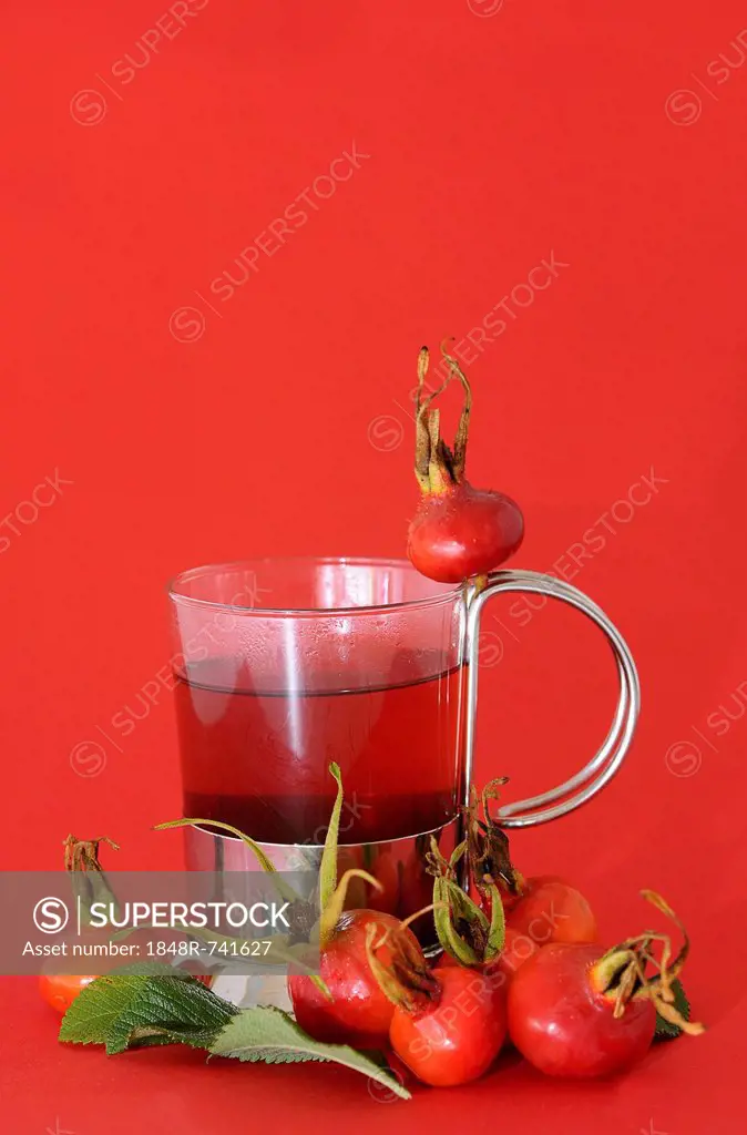 Glass with rose hip tea and rose hips