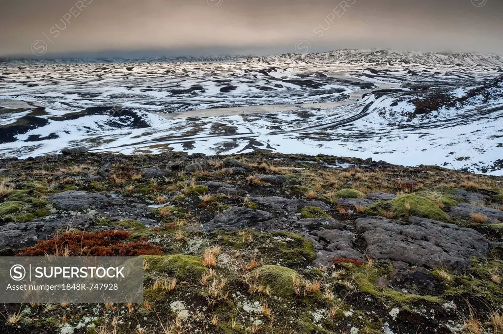 Moss and snow, winter landscape, Icelandic Highlands, Iceland, Europe