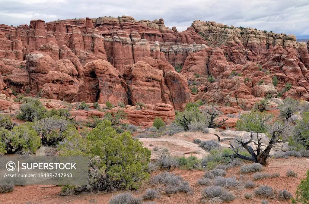 Fiery Furnace, rock formation of red sandstone, Arches National Park, Moab, Utah, USA