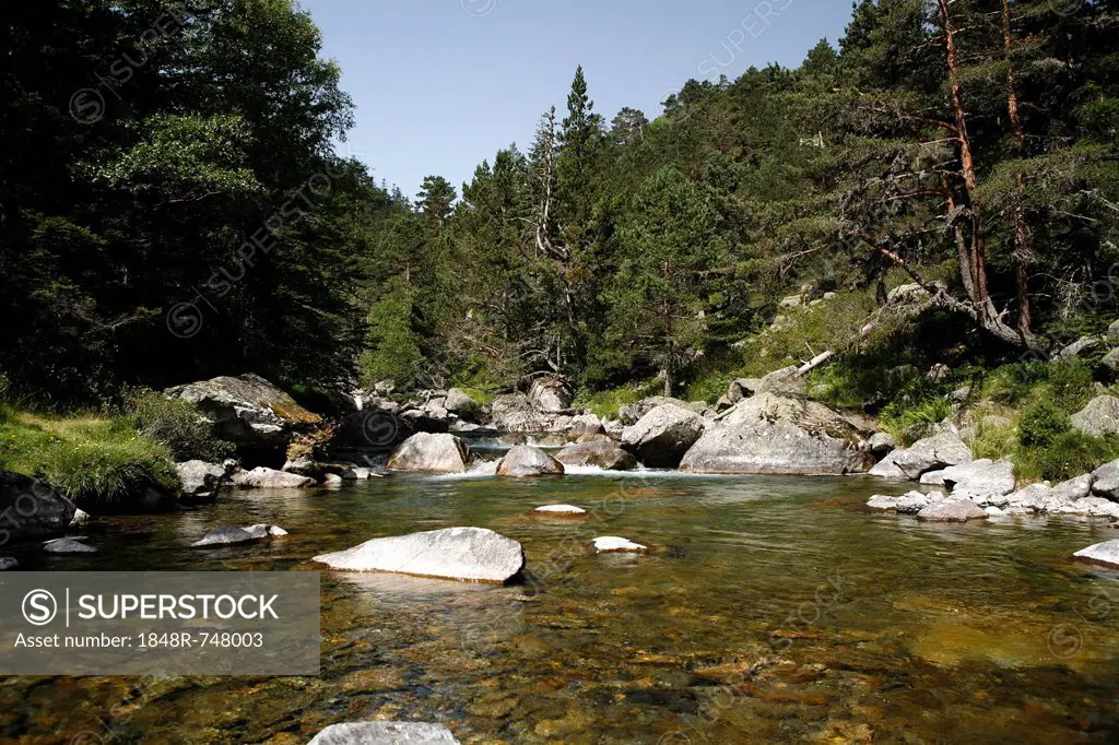 Mountain torrent, landscape in the Pyrenees, French Pyrenees, national park near Argeles-Gazost, Midi-Pyrenees region, Hautes-Pyrenees département, Fr...