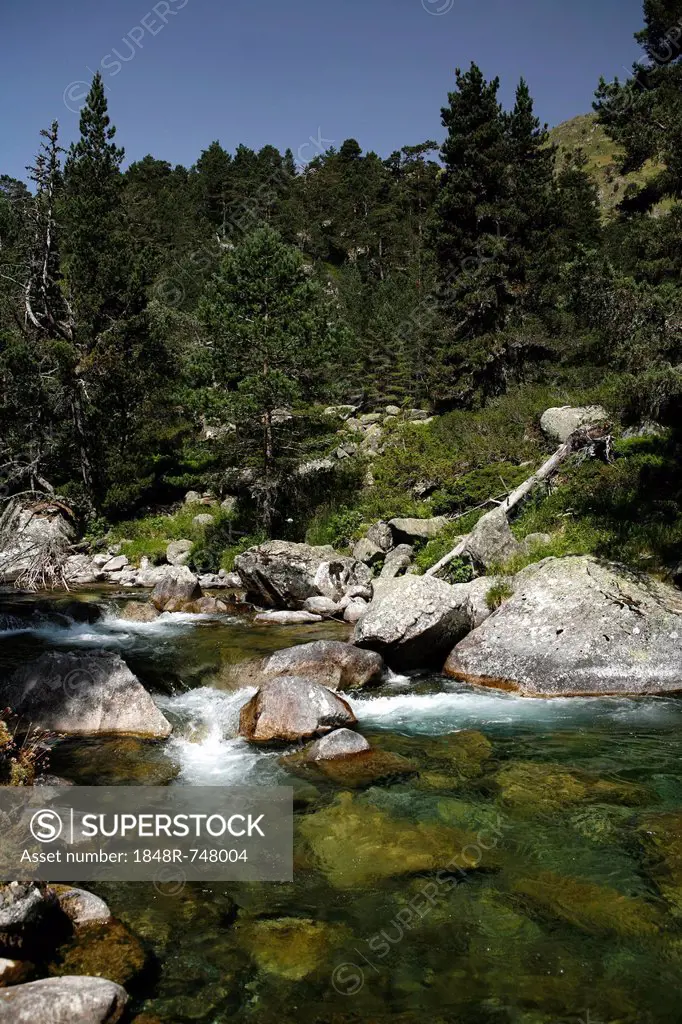 Mountain torrent, landscape in the Pyrenees, French Pyrenees, national park near Argeles-Gazost, Midi-Pyrenees region, Hautes-Pyrenees département, Fr...