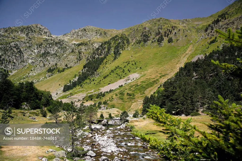 Landscape in the Pyrenees, French Pyrenees, national park near Argeles-Gazost, Midi-Pyrenees region, Hautes-Pyrenees département, France, Europe