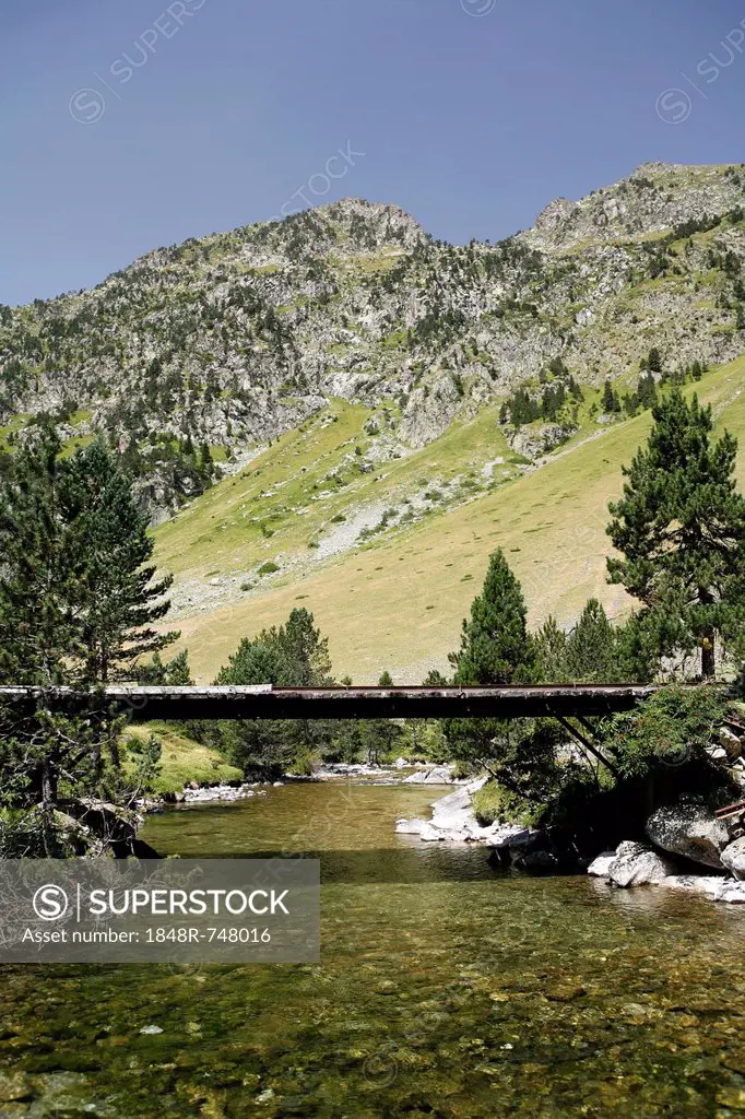 Bridge across a mountain torrent, landscape in the French Pyrenees, national park near Argeles-Gazost, Midi-Pyrenees region, Hautes-Pyrenees departeme...