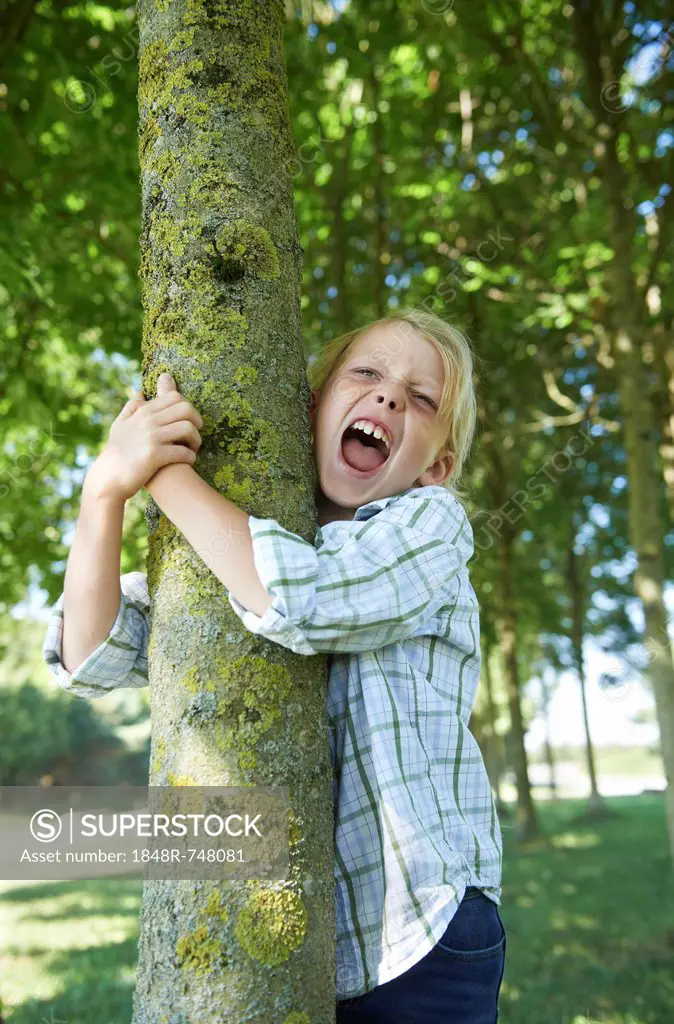 Boy hugging a tree trunk, screaming