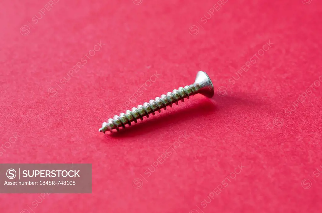 Single wood screw