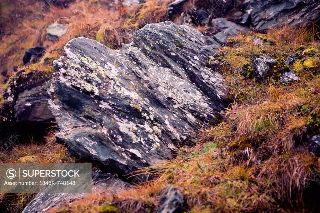 Rocks and vegetation on Grossglockner Mountain, Austria, Europe