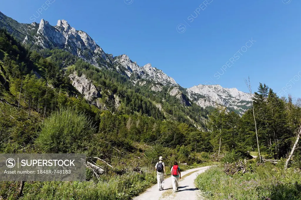 Pair hiking in the Sengsen Mountains in Limestone Alps National Park, Pyhrn-Eisenwurzen region, Traunviertel district, Upper Austria, Austria, Europe