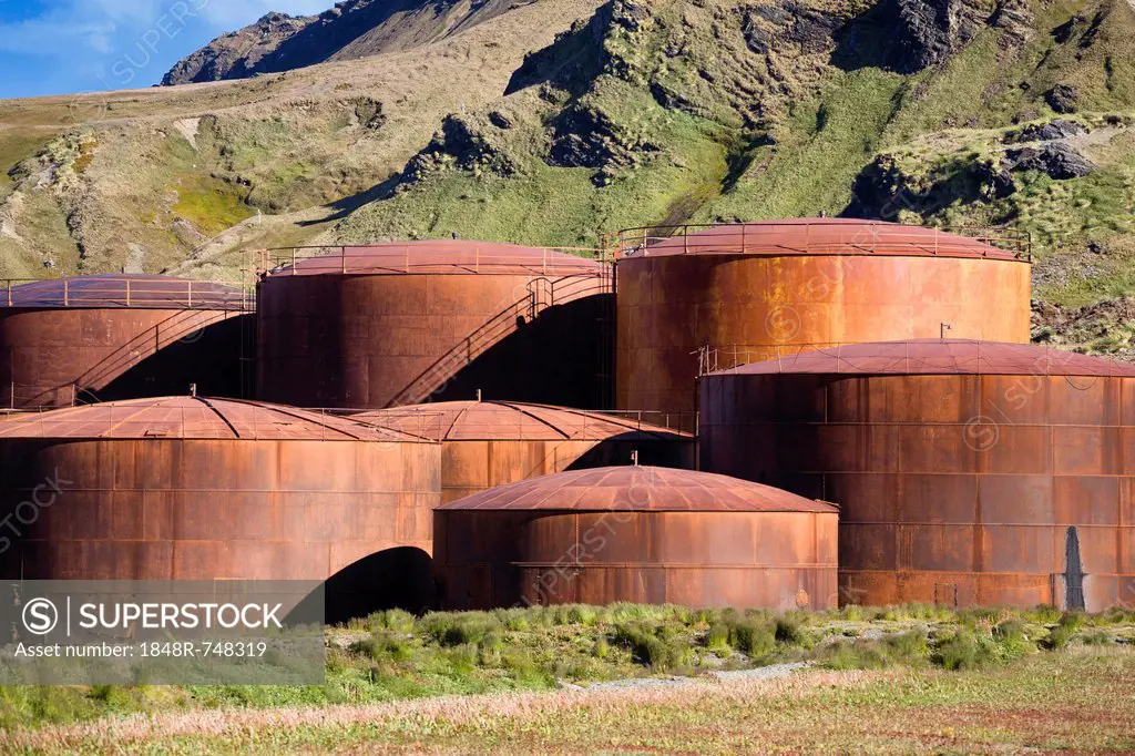 Whale oil tanks at the former whaling station of Grytviken, King Edward Cove, South Georgia, South Sandwich Islands, British Overseas Territory, South...