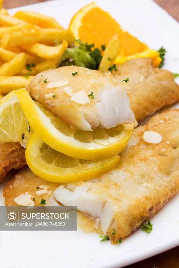 Redfish fillet with french fries