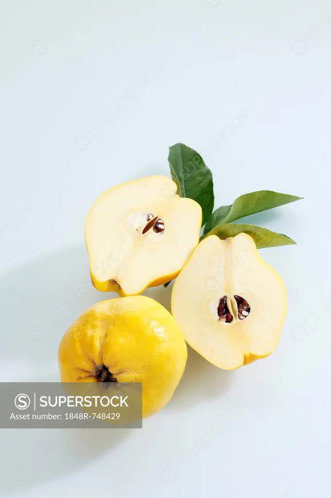 Two quinces (Cydonia oblonga), one cut in halves