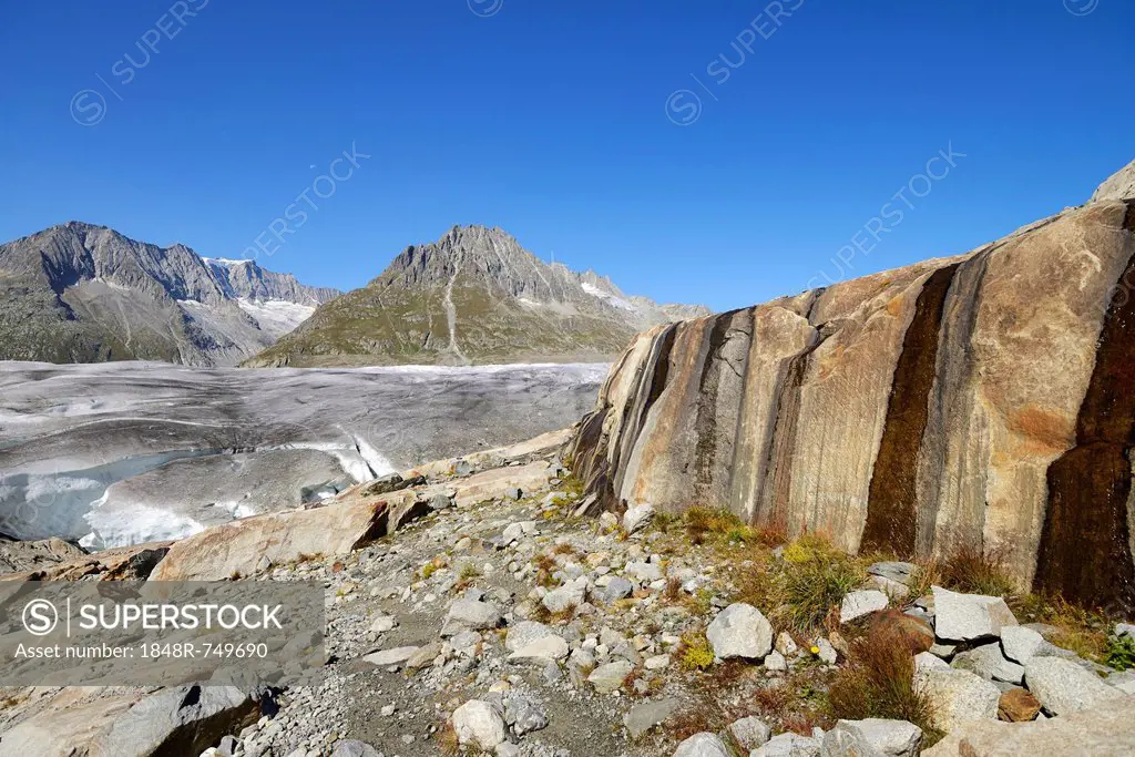 Great Aletsch Glacier, Mt. Olmenhorn in the back, UNESCO World Heritage Site Swiss Alps Jungfrau-Aletsch, Goms, Valais, Switzerland, Europe