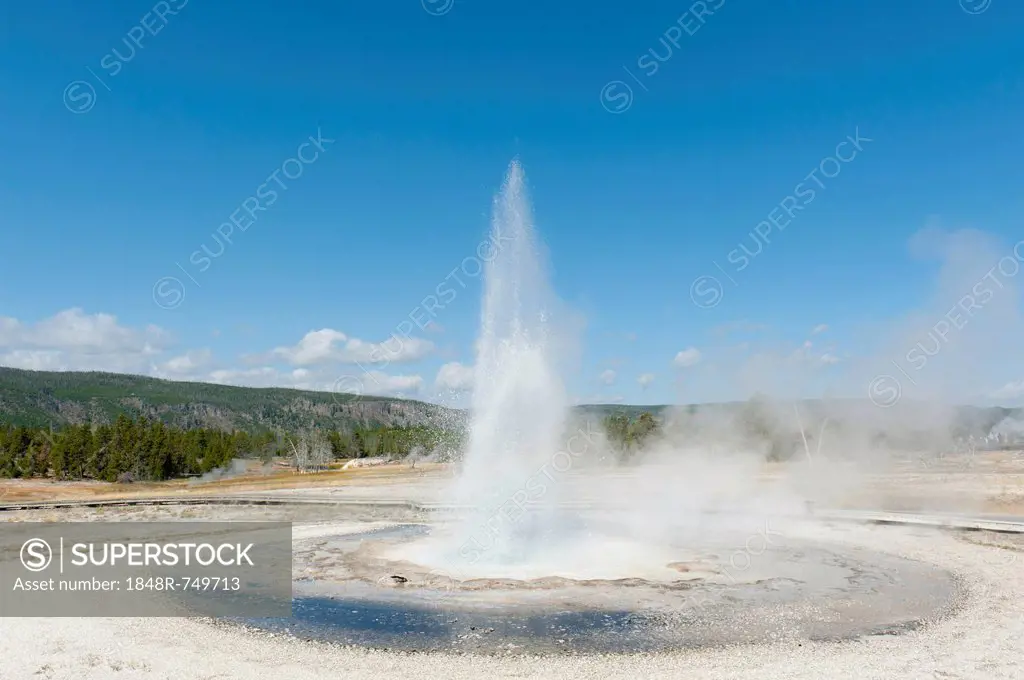 Hot spring, water fountain, eruption, geyser, Sawmill Geyser, Castle-Grand Area, Upper Geyser Basin, Yellowstone National Park, Wyoming, Western Unite...